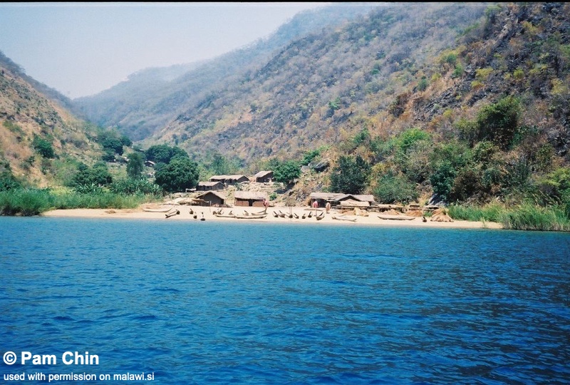 Lion's Cove 04